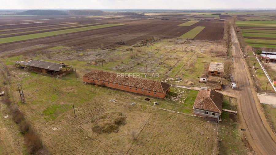 Fermă cu teren intravilan de 35000 mp în Mișca - 15