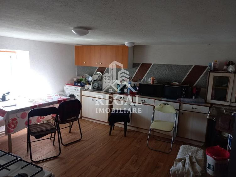 Două case de vânzare – Cerisor – teren generos 6996 mp