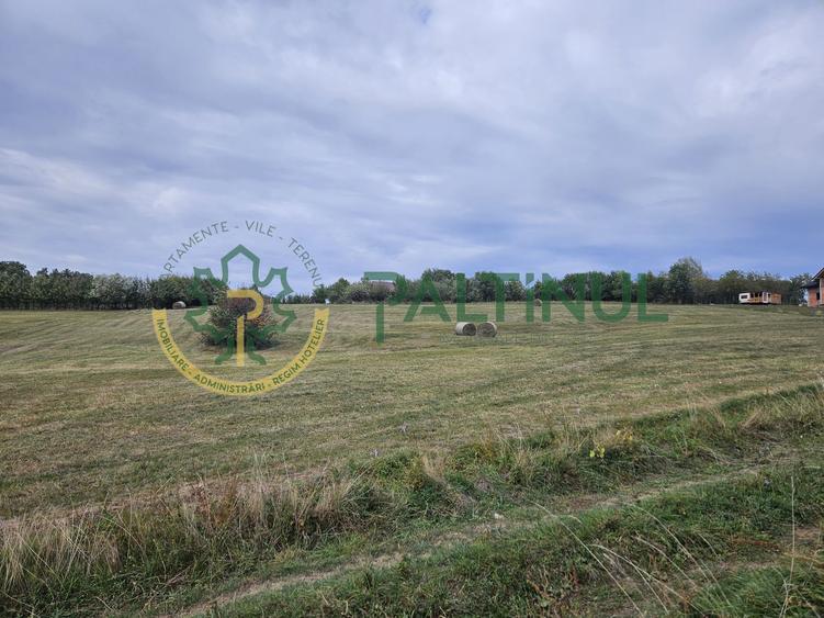Teren de vanzare ,Tocile, Sibiu, case de vacanta si locuinte