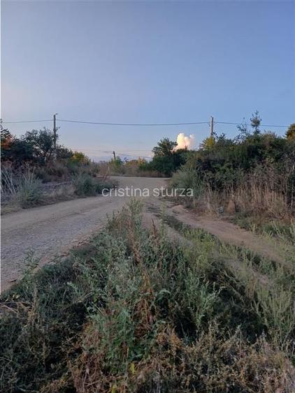 Otopeni-Str.Dr.Garii Balotesti-70.000mp-front 220ml-Ideal Investitie - 2