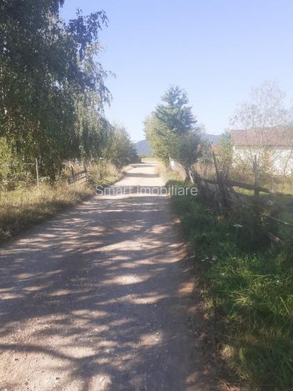 Teren intravilan 4200 mp Tohanu Nou - 3