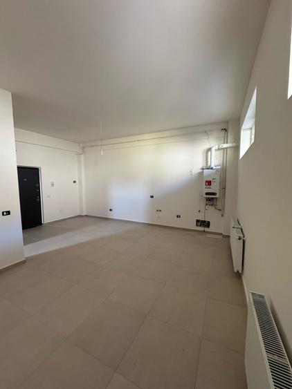 Apartament cu o camera Visan
