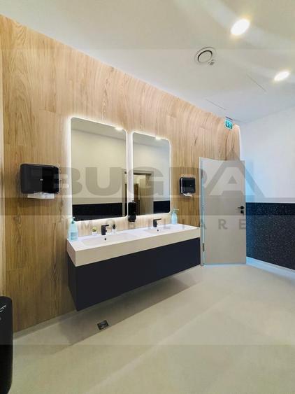 Spatiu de birou premium 335 mp - zona Brancusi