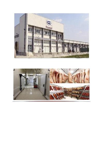 FABRICA DE CARNE CRAIOVA