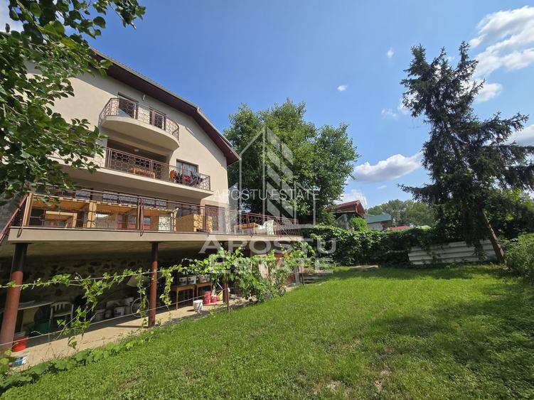 Casa de vanzare, potential pensiune, pe malul Timisului,Sag,comision 0 - 4