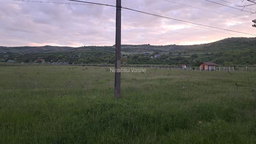 Teren de vanzare in orasul Urlati - 7