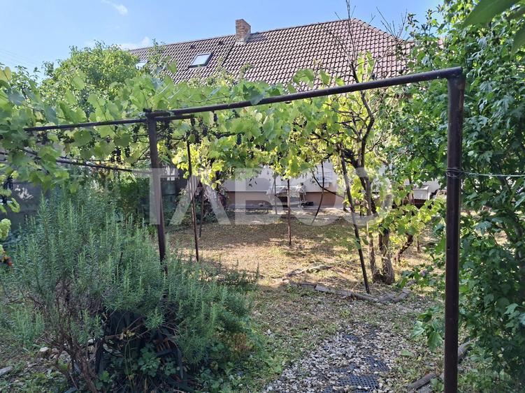 Casa cu 2 camere decomandate 335 mp teren in zona Parcul Tineretului