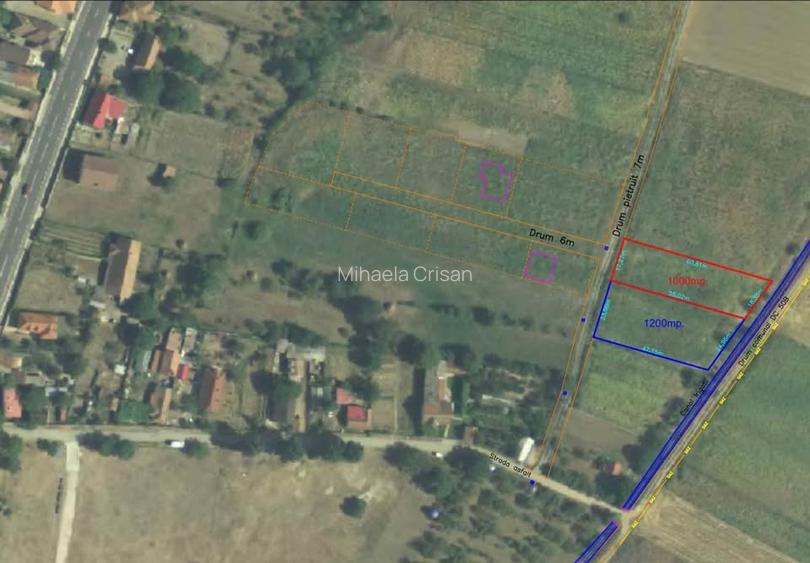 TEREN INTRAVILAN BĂCIA - 3