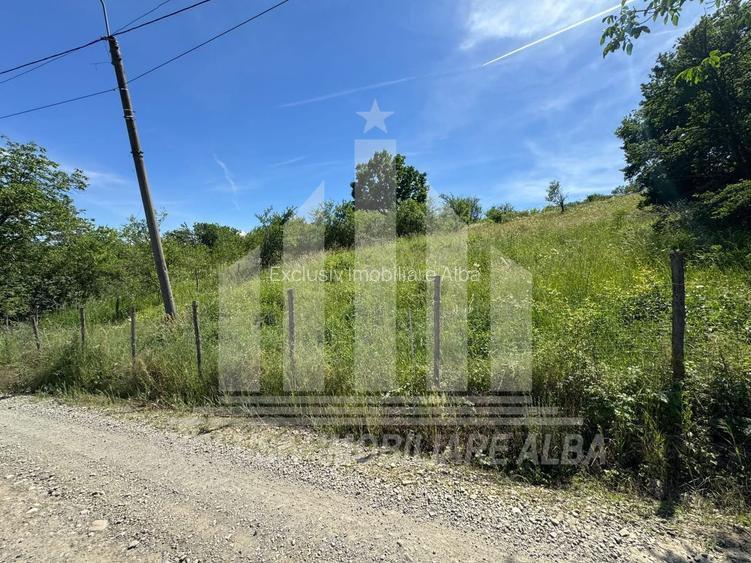 Teren intravilan | 1654 mp | 21 ml deschidere | Seigau - 4