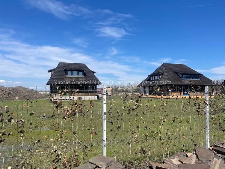 Proprietar vând teren intravilan în satul Runcu comuna  Dascalu  - 10