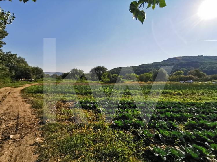 Teren extravilan 7500mp, cu acces la astfalt, zona Bungard