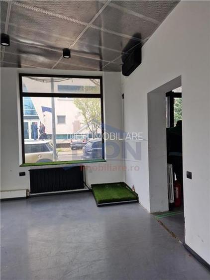 Investitie, Spatiu Comercial, Calea Serban Voda - 3