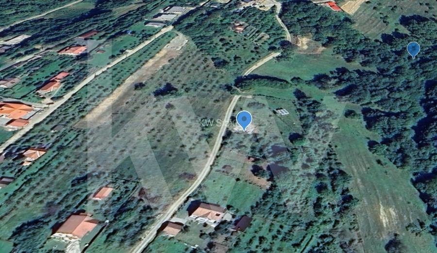 Teren Intravilan 977 mp de Vânzare în Cisnădioara – Locație de Poveste - 10