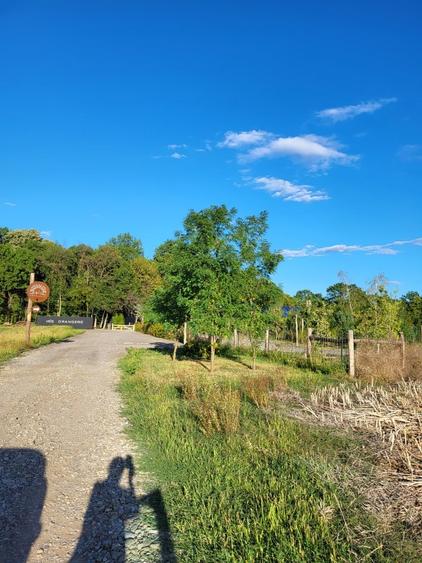 Oportunitate Unică! Teren de Vânzare aproape de Pădure – Ciolpani Izvorani