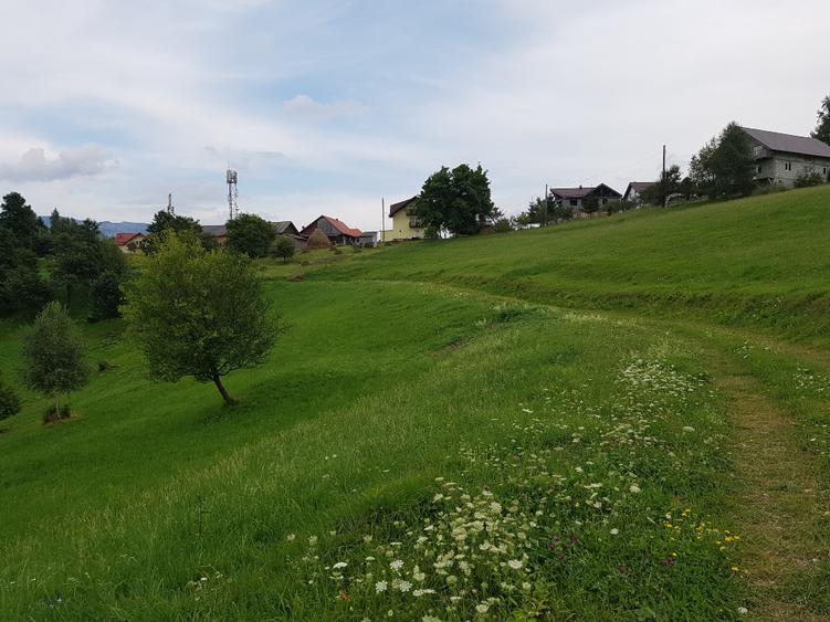 Teren Drumul Carului 3.8 ha