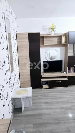 Apartament 2 camere Craiovei