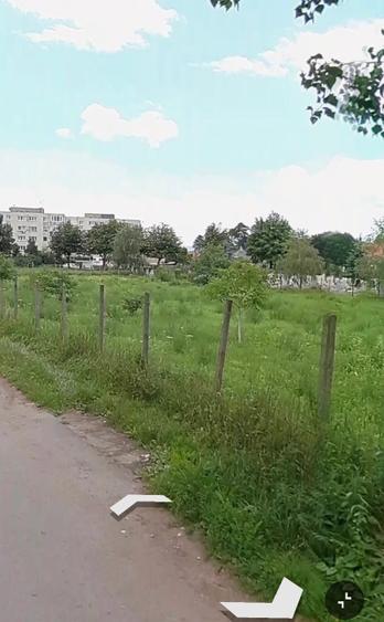 De vânzare: livadă de nuci pe teren intravilan.