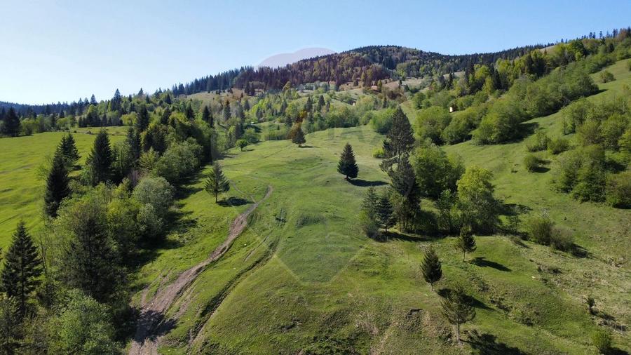 Teren 12,127mp Frasin / Drumul Forestier Valea Seacă