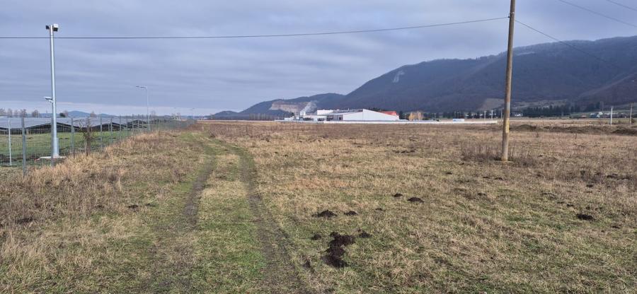 Teren industrial intravilan Brasov, langa Inna Schaeffler