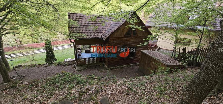 Casă de vacanță la pădure | Teren 891 mp | Valea Ighielului - 11