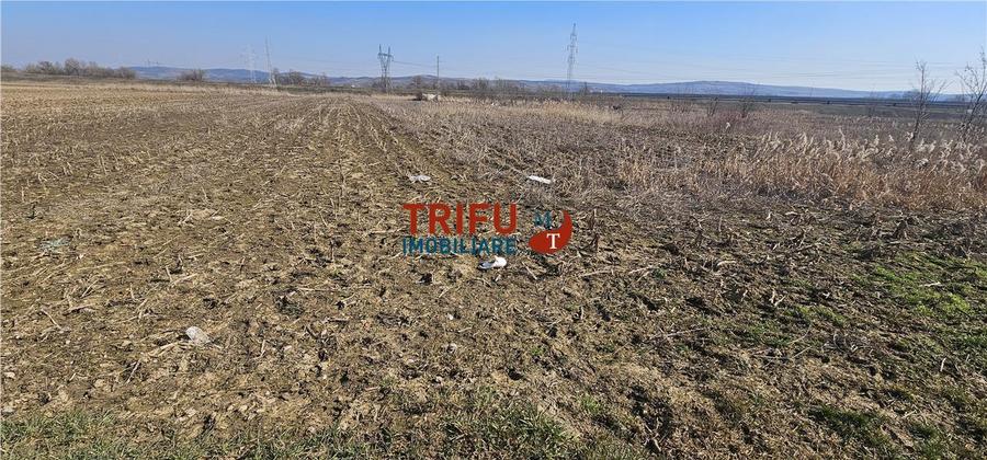 Teren de Vanzare Zona Soseaua De Centura !