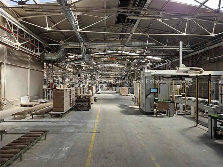 Spatiu Industrial - 5000 mp - Productie - Depozitare - 26