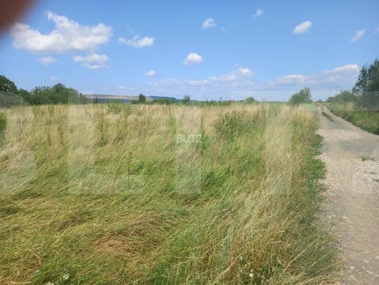 Investitie ! Teren intravilan in Sopor, 2500 mp , front 36 m ! - 4