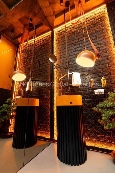 Apartament in Stil New York  în Herăstrău - 54