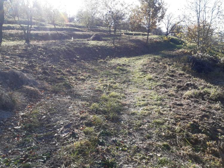 Teren cu acces facil și priveliște panoramică în Podgoria Oradea