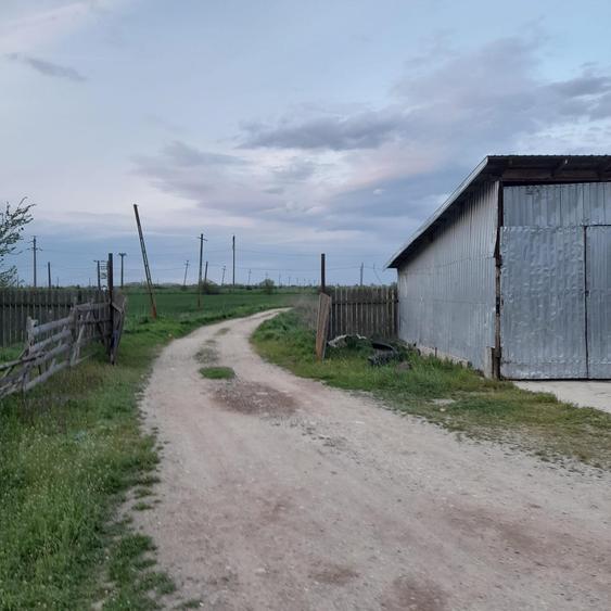 OPORTUNITATE! FERMA FUNCTIONALA, CASA RENOVATA SI TEREN 5HA