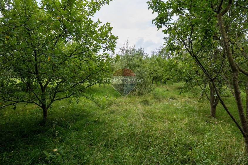 Conac de piatră edificat in 1829 - teren 1646 mp - Bicfalau - Covasna - 38