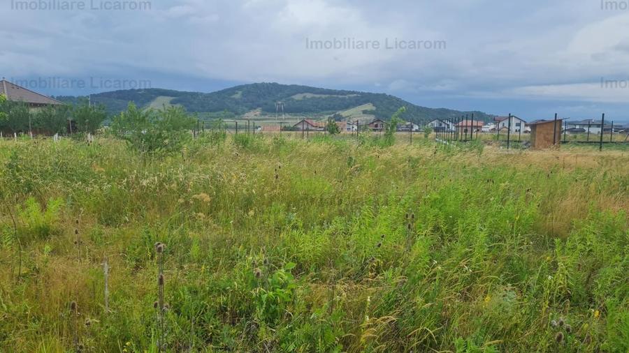 De vanzare teren 502 mp Harman Aleea 14 pret 40000 euro