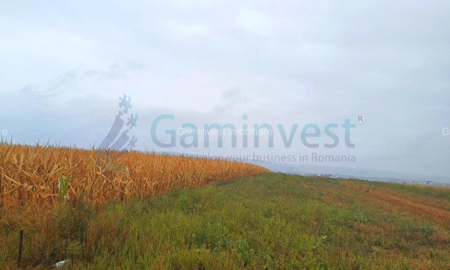 Teren intravilan de vanzare, la 1 minut de centura Osorhei, Alparea, Bihor - 4