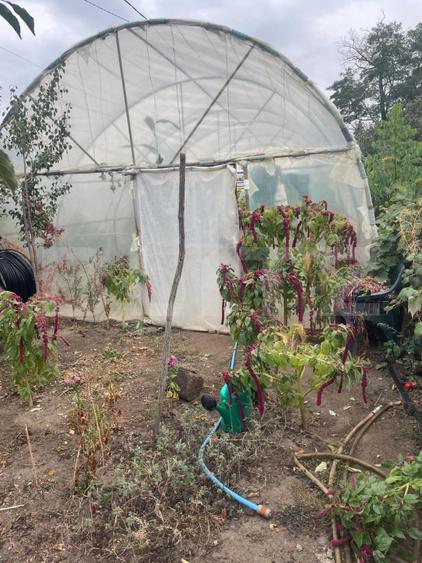 Casă 4 camere, 790 mp teren, zona Bariera Vîlcii