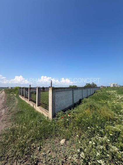 TEREN INTRAVILAN 1247 mp - PALAZU MARE - 3