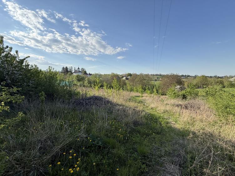 Casă de vânzare | Horodniceni | 3200 MP Teren intravilan