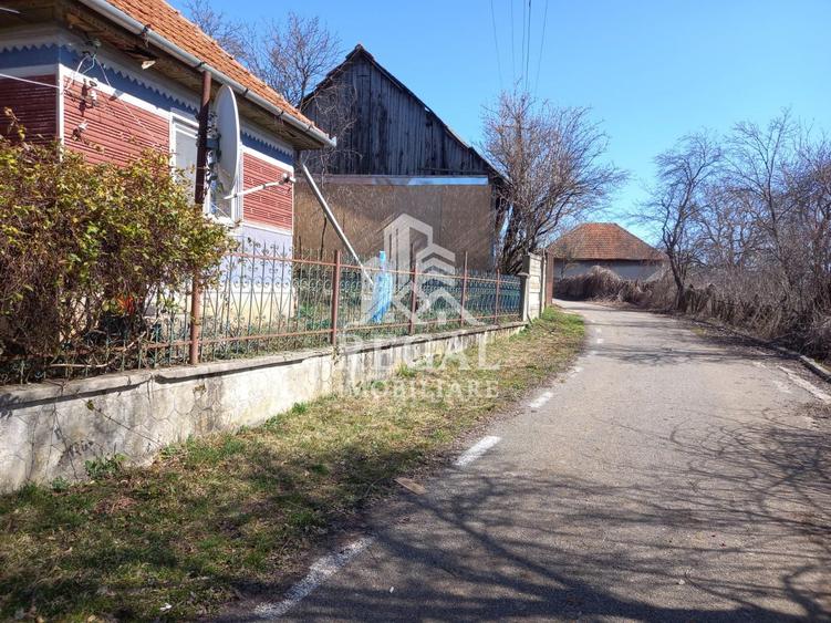 Două case de vânzare – Cerisor – teren generos 6996 mp