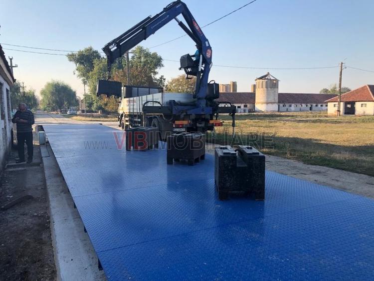 Ferma complet utilată – 30 ha teren comasat Timiș – Comuna Biled