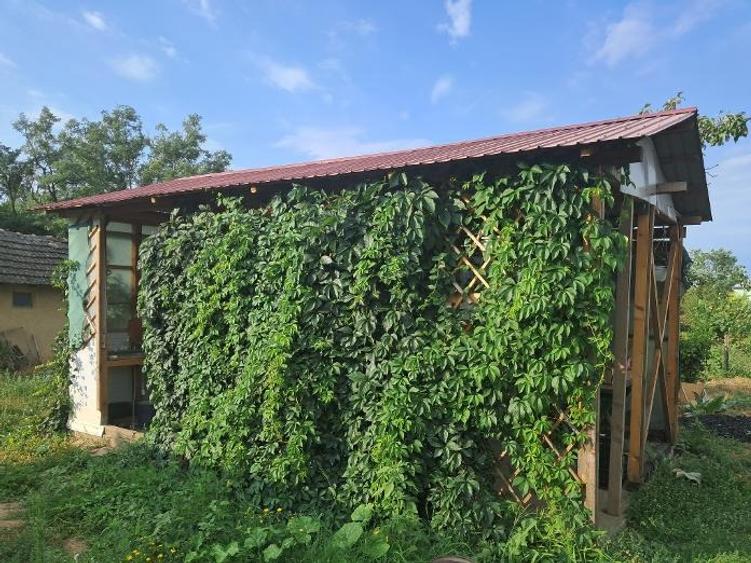 Casă de vacanta, situată în apropiere de lacul Mostistea