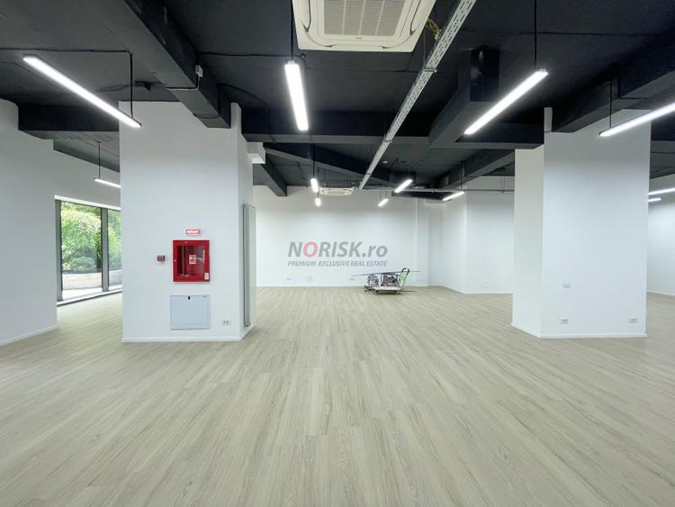 Spatiu Comercial Parter CORTINA Academy 273mp 2021