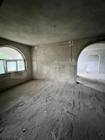 2 CASE, 300mp/700mp, teren 30 ari, zona strada Botizului - 3