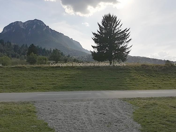 Zarnesti - Plaiul Foii, 4880 mp teren intravilan. - 3