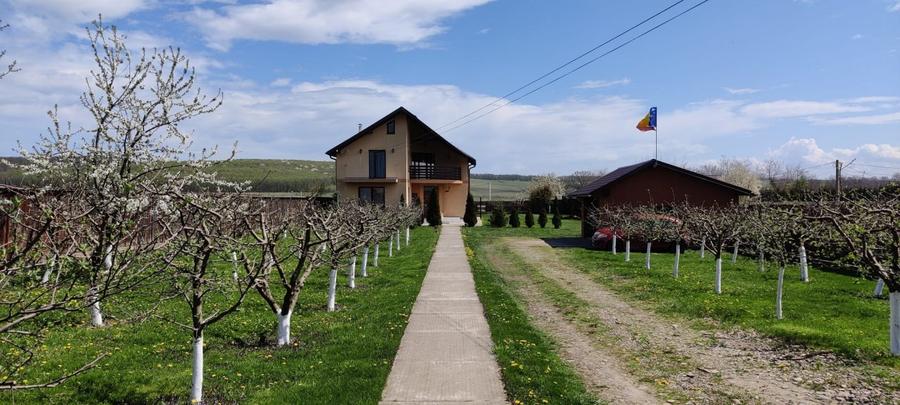 Casă mare cu teren 2600 mp în Dragomirna – garaj dublu, fotovoltaice, puț forat,