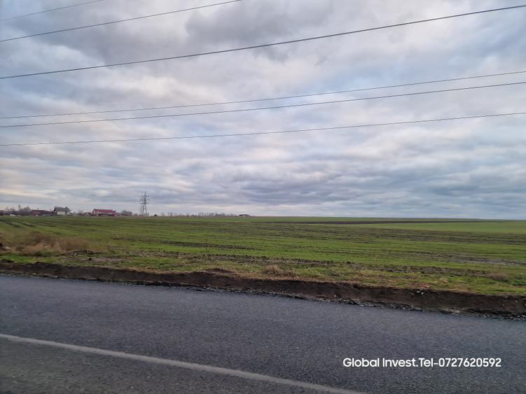 Corbu- Teren 2500mp la intrare in localitate pe dreapta