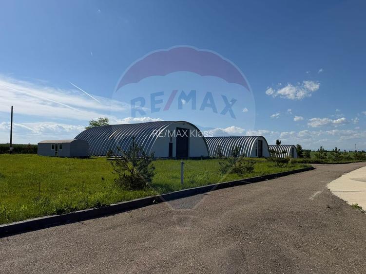 4 HALE INDUSTRIALE INDIVIDUALE SUPRAFATA TOTALA 1.407 mp, Acces DN 1 - 20