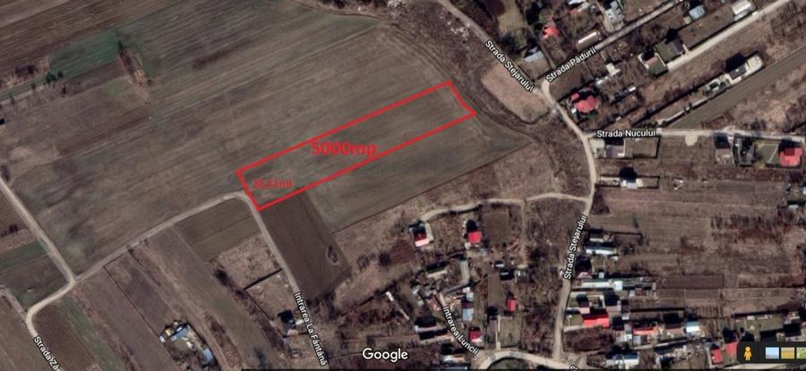 Vanzare teren intravilan Teghes -Domnesti Ilfov