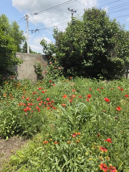 Casa de inchiriat in Clinceni-Olteni la doar 15km de Bucuresti - 16