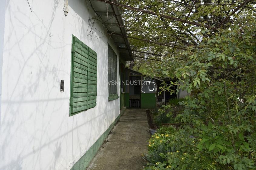 CASĂ TRADIȚIONALĂ CU GRĂDINĂ GENEROASĂ ȘI VIE – ISACCEA, JUD. TULCEA - 2