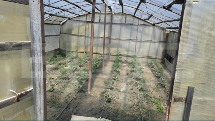 Casa deosebită, 91 mp, teren 1.128 mp, zona Ghirdoveni
