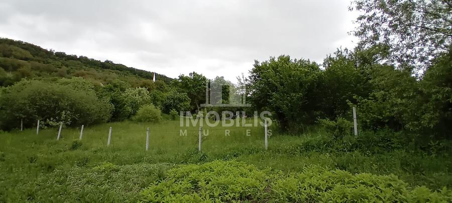 Teren intravilan | Budiu Mic | 994 mp